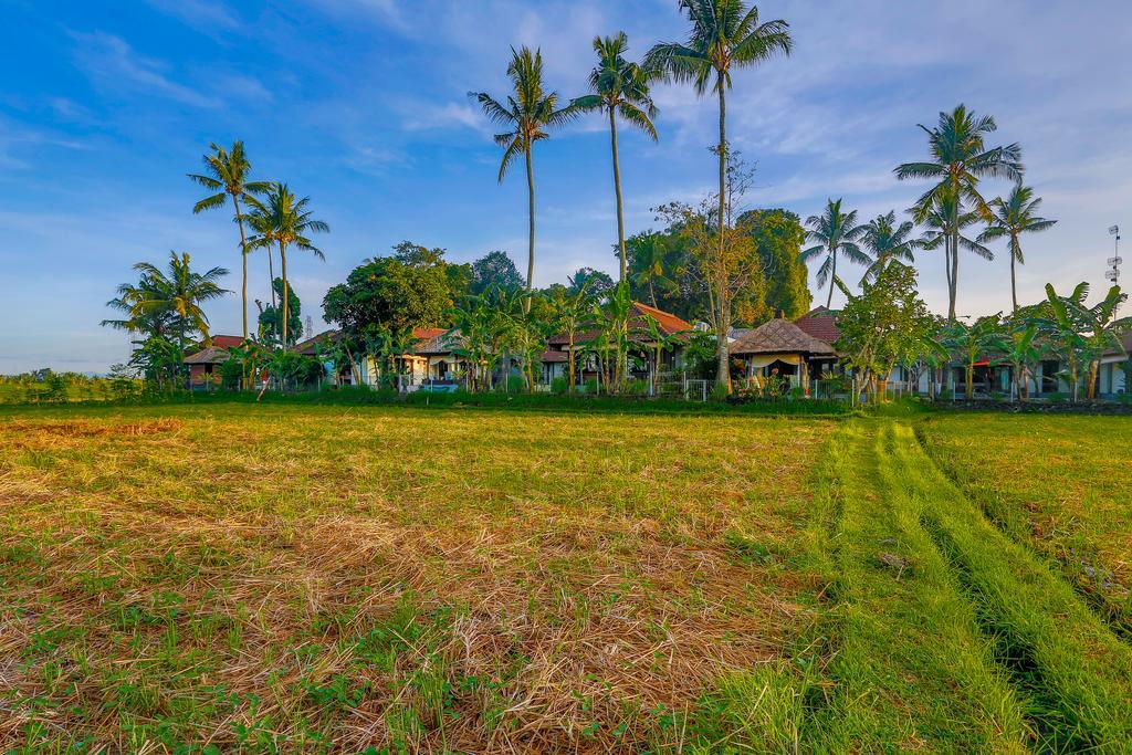 Villa Kaba Kaba Resort Canggu Eksteriør bilde
