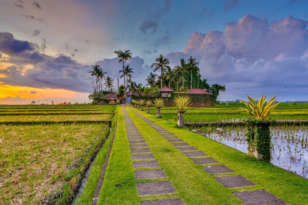Villa Kaba Kaba Resort Canggu Eksteriør bilde