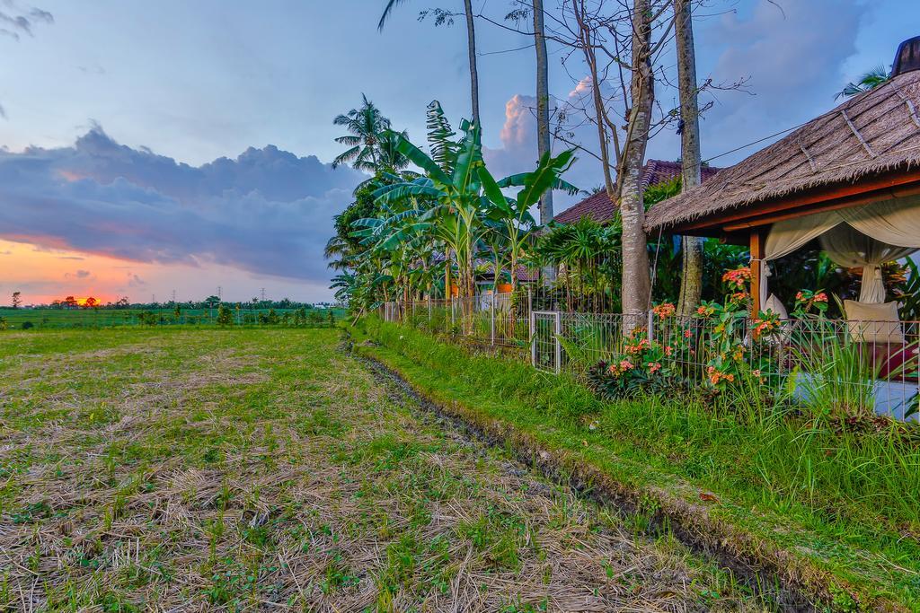 Villa Kaba Kaba Resort Canggu Eksteriør bilde