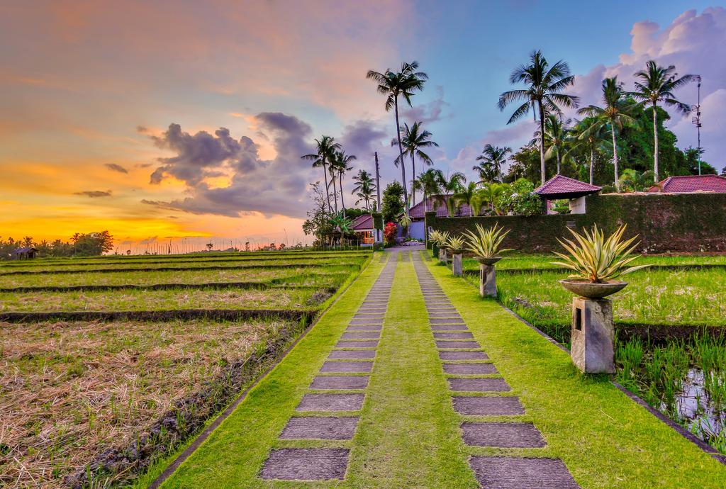 Villa Kaba Kaba Resort Canggu Eksteriør bilde