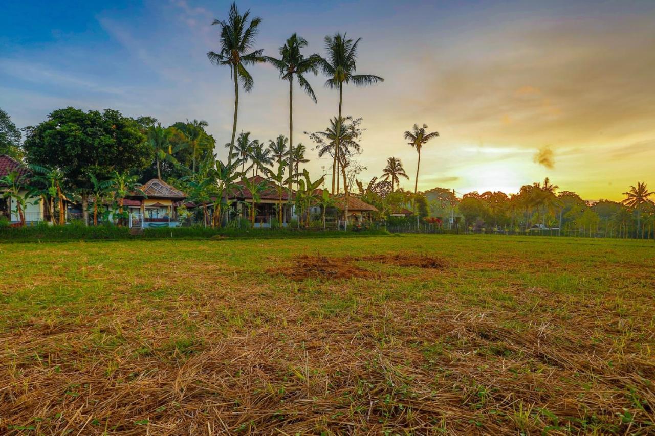 Villa Kaba Kaba Resort Canggu Eksteriør bilde